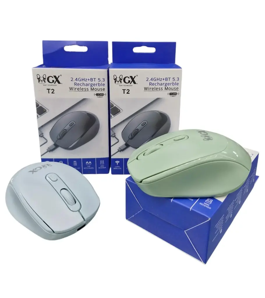 MOUSE T2