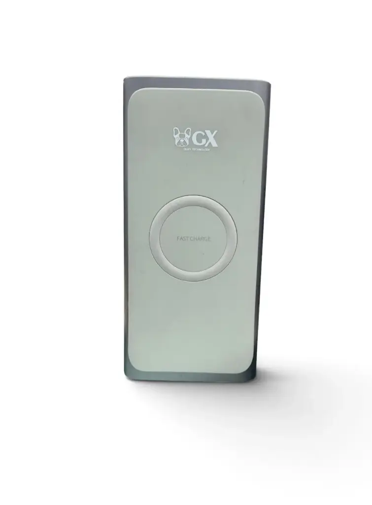 POWER BANK MAGNETICO PW01
