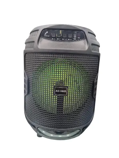 [V605] PARLANTE V605