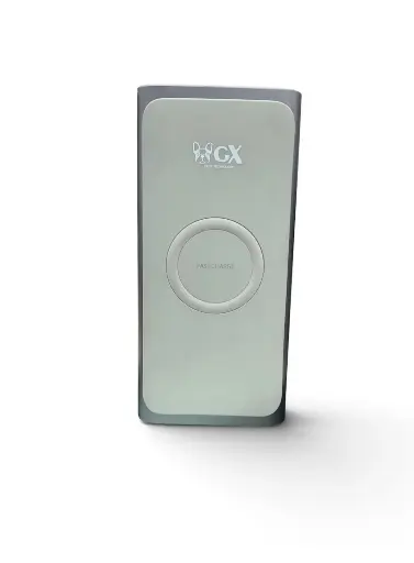 POWER BANK MAGNETICO PW01